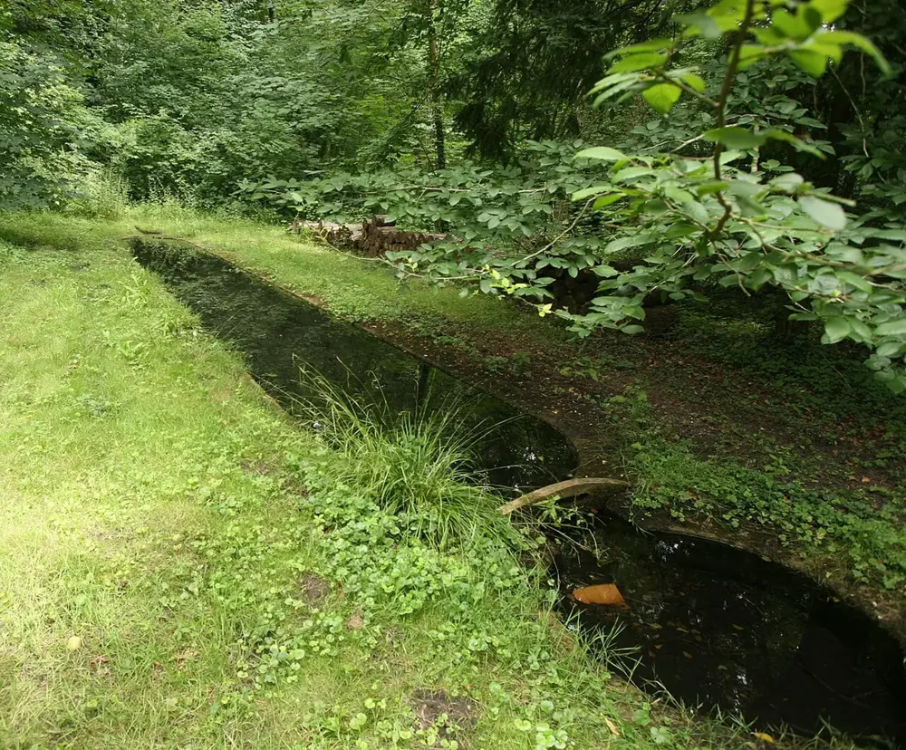 Camp de Chamarande
