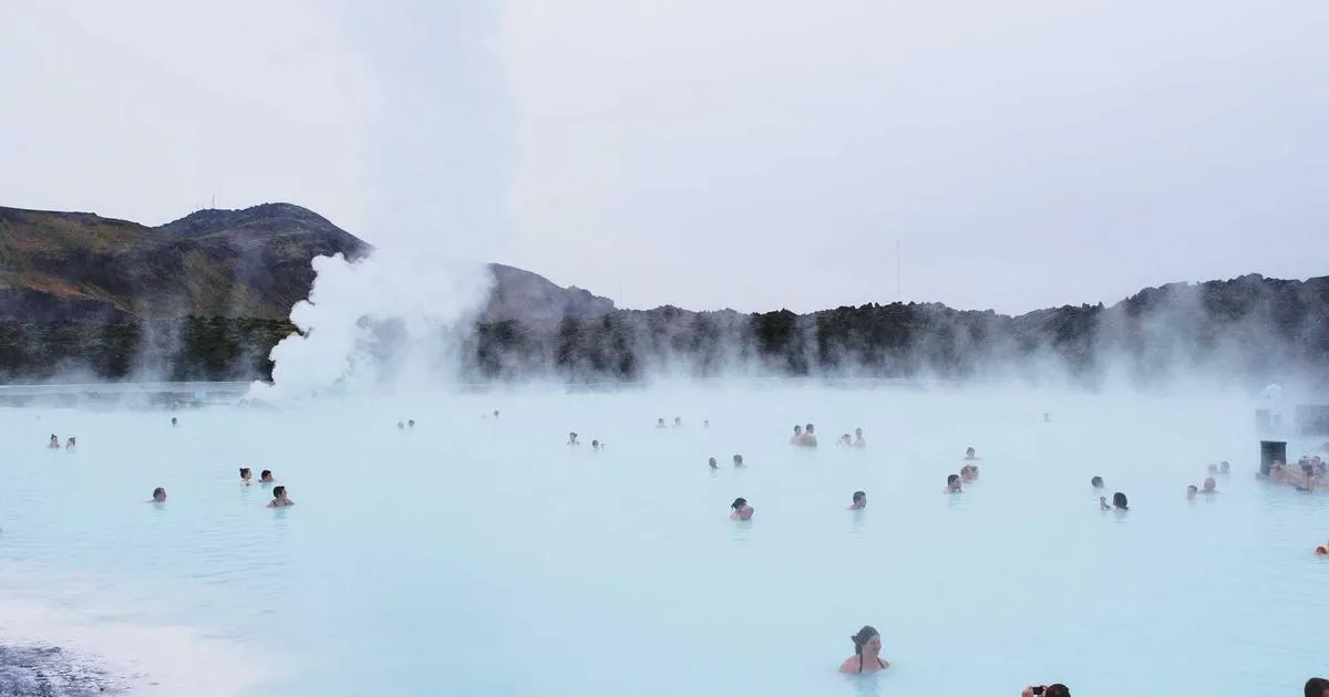 Domaine départemental de Chamarande : un paradis pour les amoureux de la nature